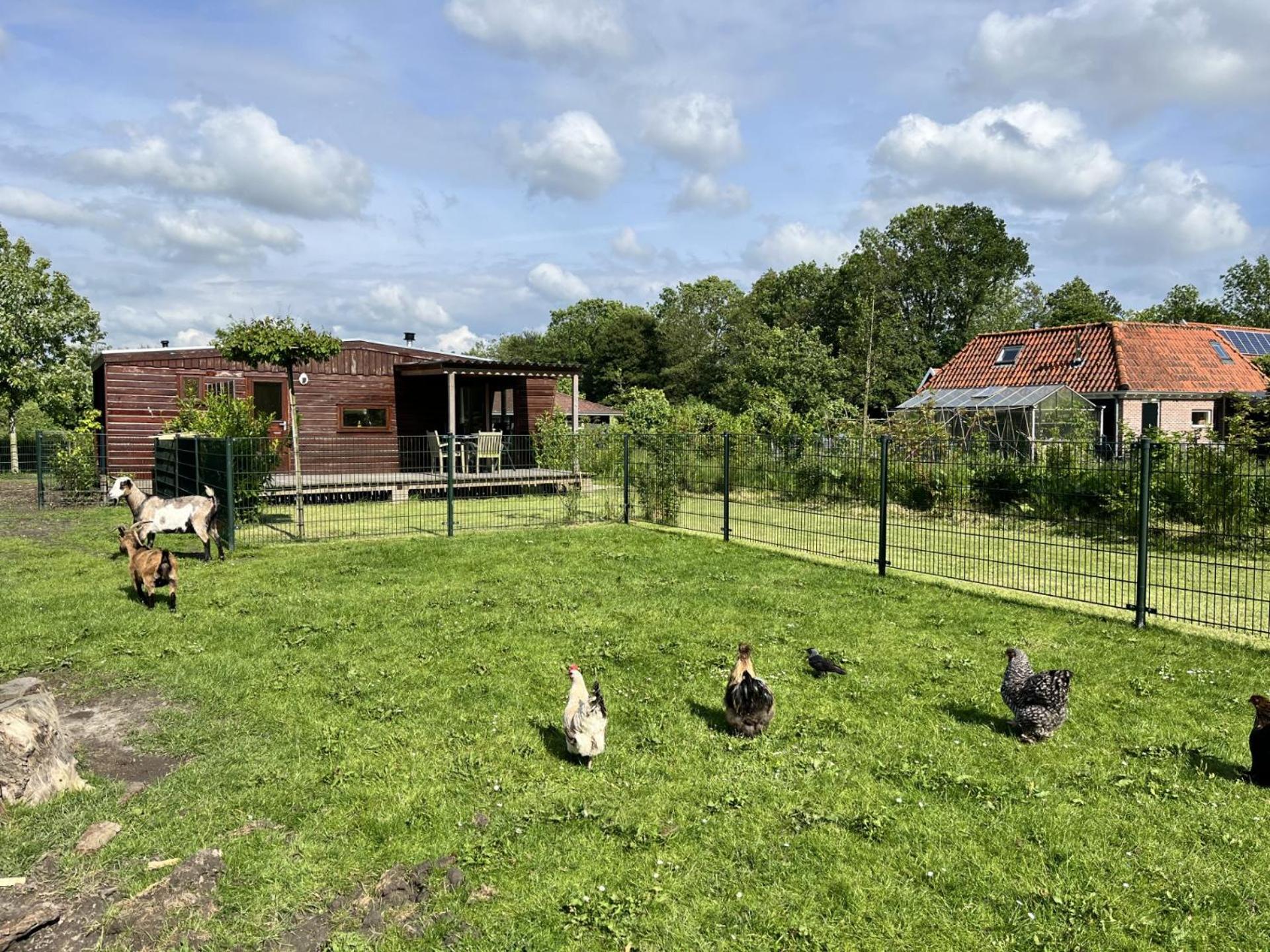 Vrijstaand Chalet Met Veel Buitenruimte En Veranda Zuid-Scharwoude Eksteriør bilde
